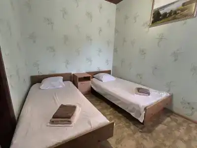 Диана - 6