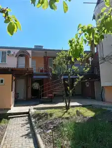 Незабудка - 0