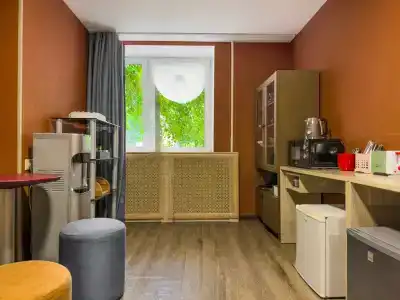 Царицыно Парк Syncotel - 9