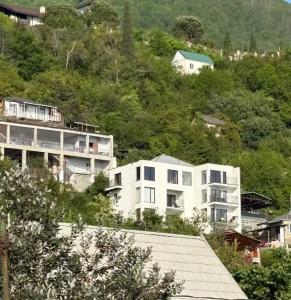 Панорама 17 - 0
