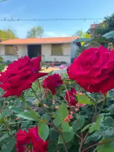 У Гургена - 3