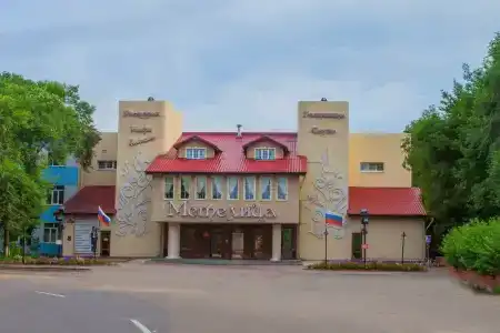 Метелиза на Амурской, 71 - 0