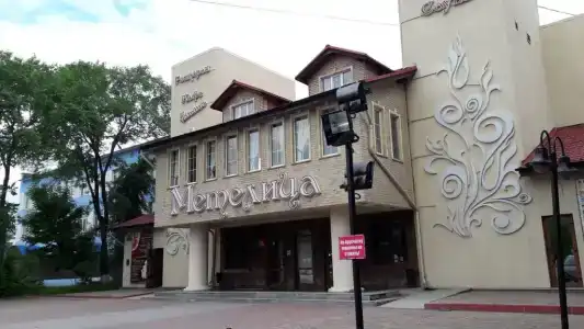 Метелиза на Амурской, 71 - 1