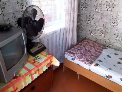 Домик у Ларисы на Горького - 21