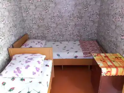 Домик у Ларисы на Горького - 20