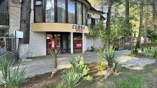София - 3