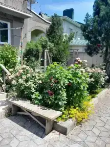 Алдижан - 8