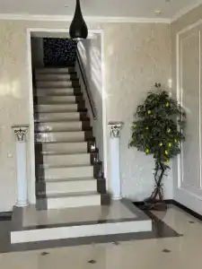 Элси - 2