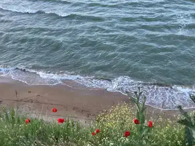 Бунгало на Береговой - 4