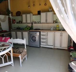 Цветок Граната - 50