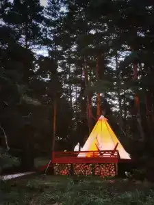 Тропа шамана - 0