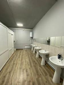 Феникс - 24