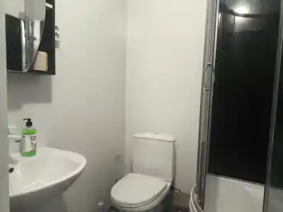 Дельфин - 2