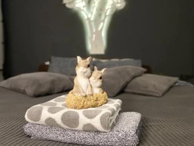 Комфортное место в центре города - 115