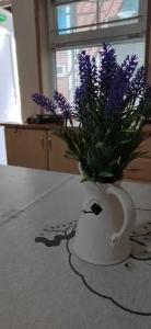 Гостевой дом на Рабочей, 2б - 14