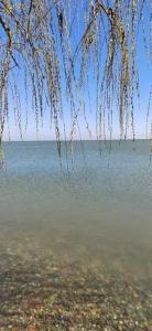 Гостевой дом на Рабочей, 2б - 16