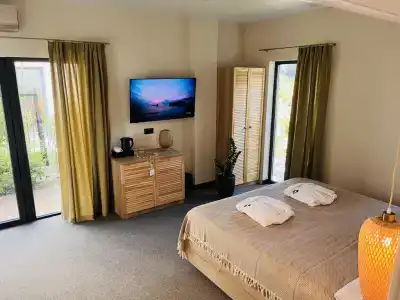 Little Palm - 15