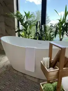 Little Palm - 25
