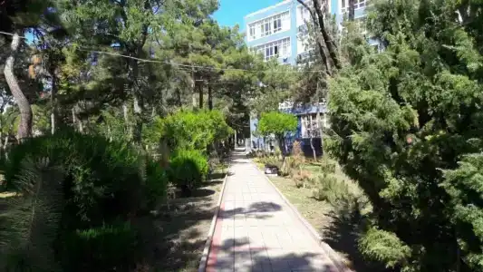Боспор - 5