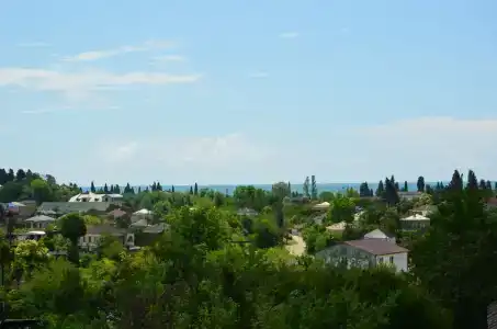 Камила - 51