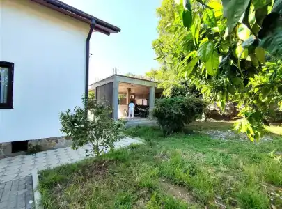Цитрус - 143