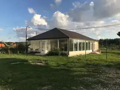 Манго - 3