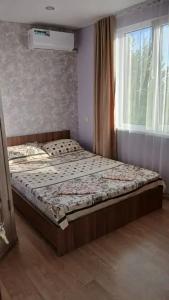 Александрия - 19