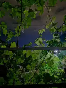 Райский Уголок - 16