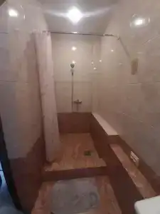 Пальма - 12