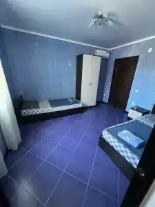 Пальма - 19