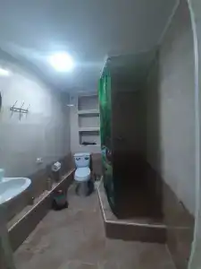 Пальма - 40