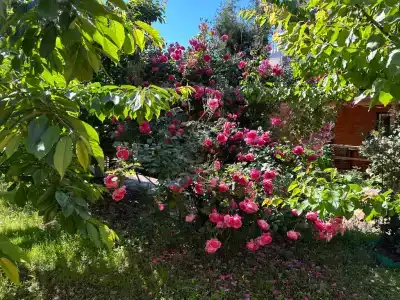 Деревянные коттеджи на Лазурном - 3