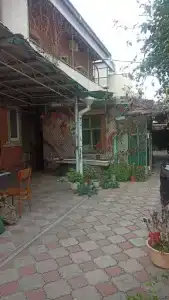 Теодор - 1