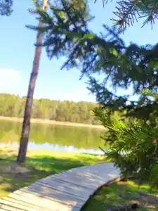 Сибирская заимка - 13
