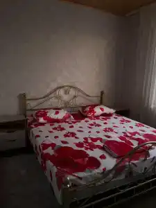 Золотой бриз - 48