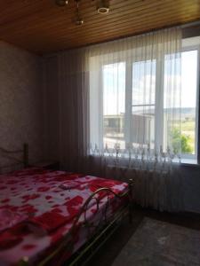 Золотой бриз - 51