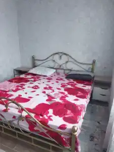 Золотой бриз - 66