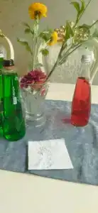 Золотой бриз - 91
