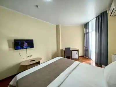 Кактус - 11