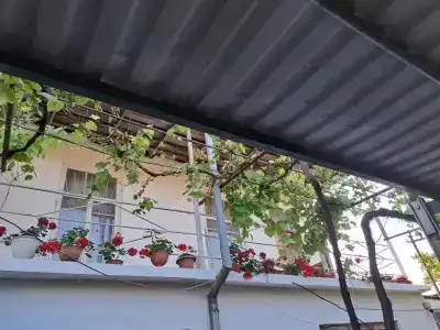 Этери - 2
