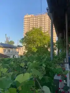 Этери - 3