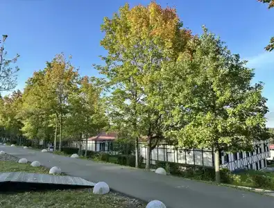 Лесной - 1