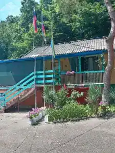 Лесная сказка - 18
