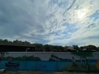 Чешуя - 14