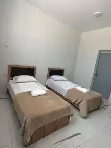 Платан - 18
