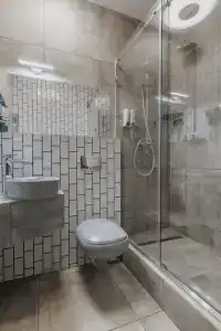 Сагум - 33