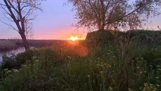 Донская Жемчужина - 6