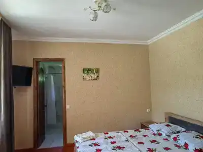 Светлана - 5