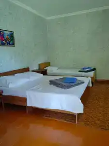Светлана - 10