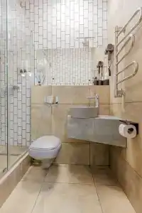 Сагум - 66